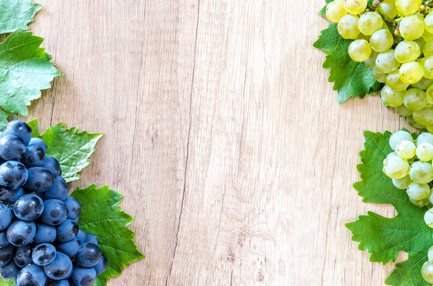 gallery/blueberries-bunch-close-up-1410138